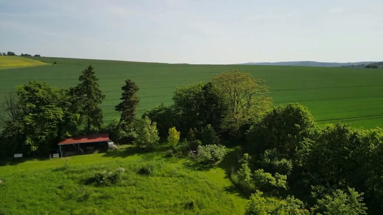 Blick aus der Luft auf die Wiese im Garten der Pension Volgenandt, dahinter Felder