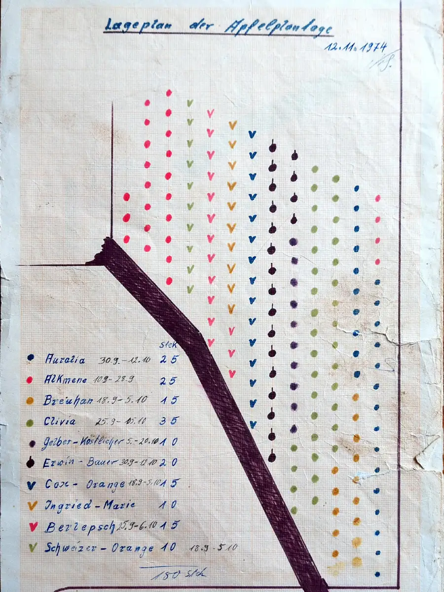 Handgezeichneter Lageplan der Apfelplantage von 1974 mit farbigen Punkten für die einzelnen Apfelsorten