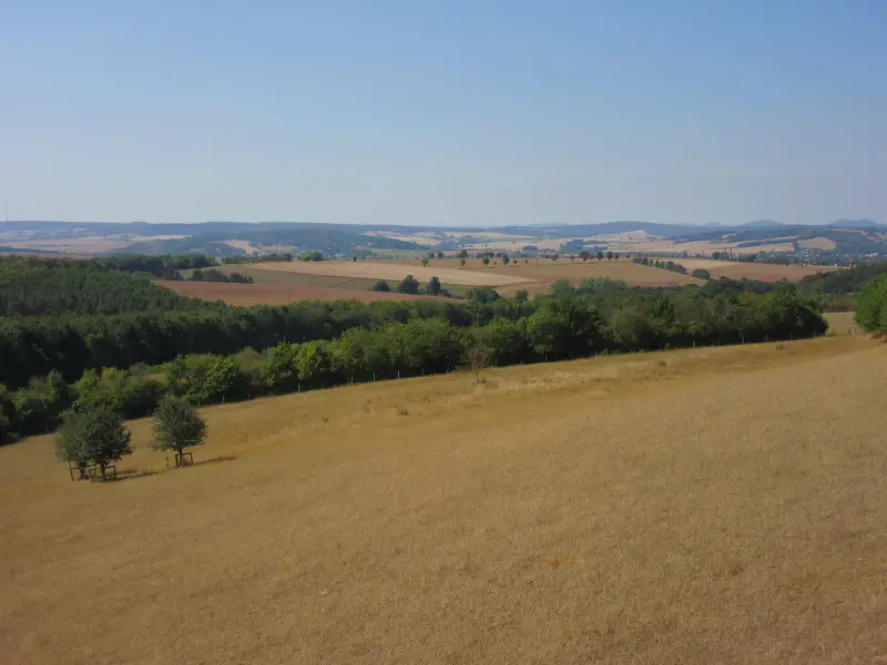 Weites Eichsfeld-Panorama vom Gut Herbigshagen der Heinz Sielmann Stiftung – Felder, Wälder und Hügel unter blauem Himmel