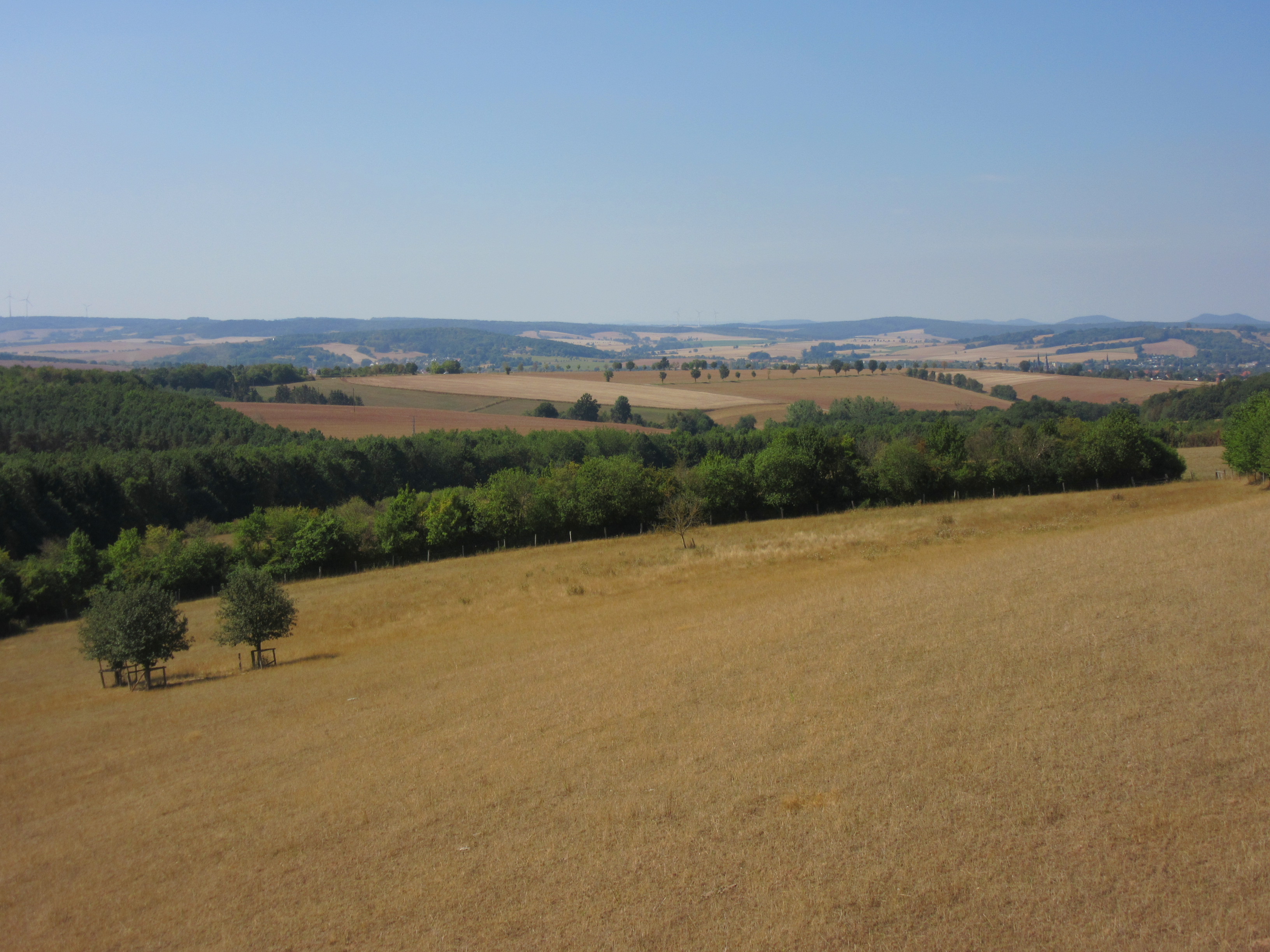 Weites Eichsfeld-Panorama vom Gut Herbigshagen der Heinz Sielmann Stiftung – Felder, Wälder und Hügel unter blauem Himmel