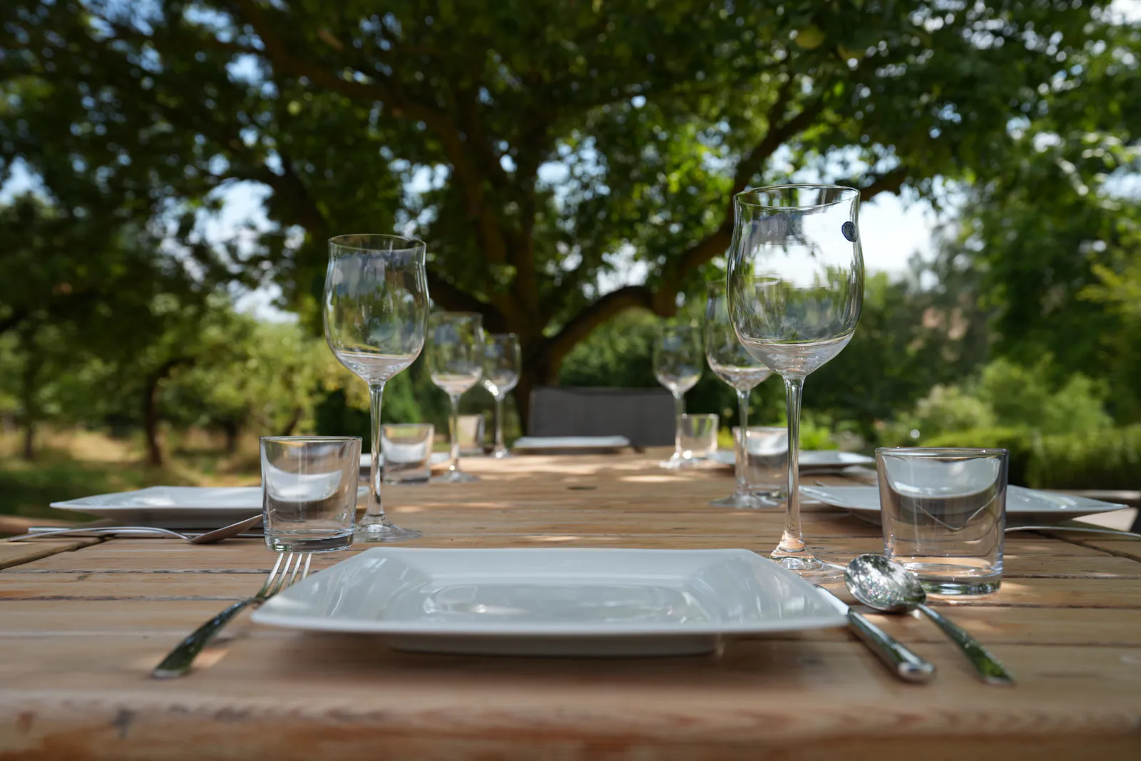 Festlich gedeckter Tisch im Garten mit Weingläsern