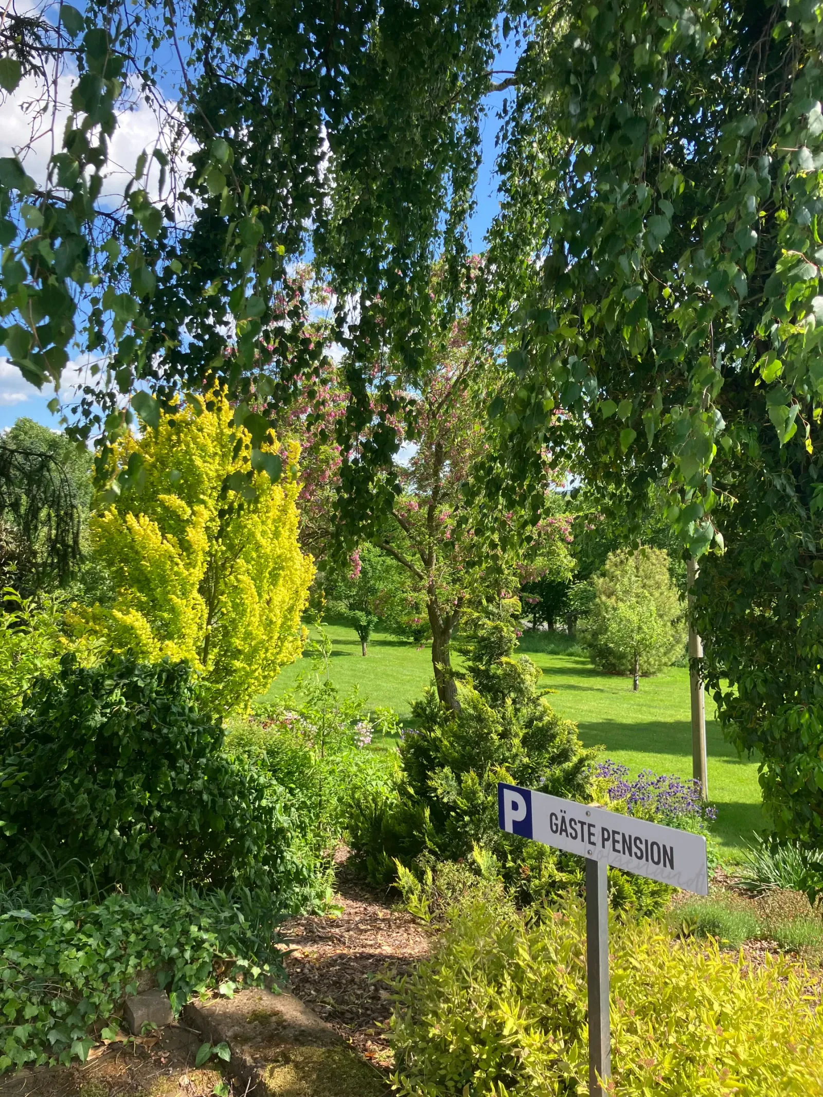 Einfahrt und Parkplatz der Pension Volgenandt