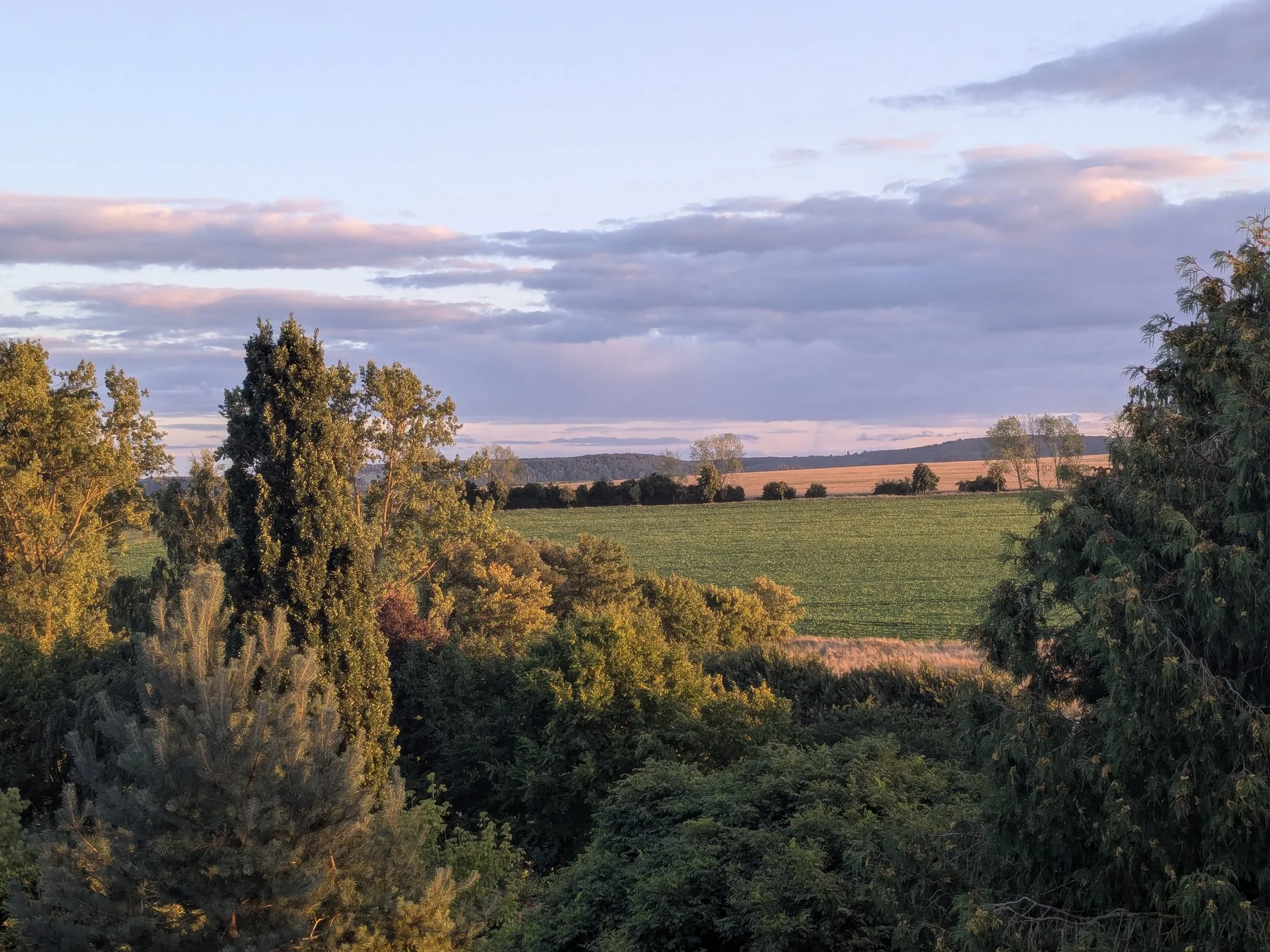 Cyclist on the Leine Cycle Route in the Eichsfeld