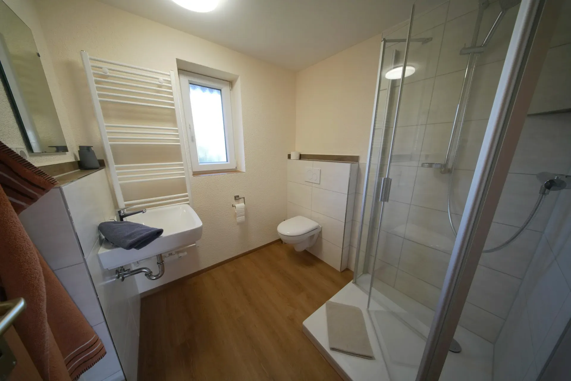 Bathroom with heated towel rail and glass shower