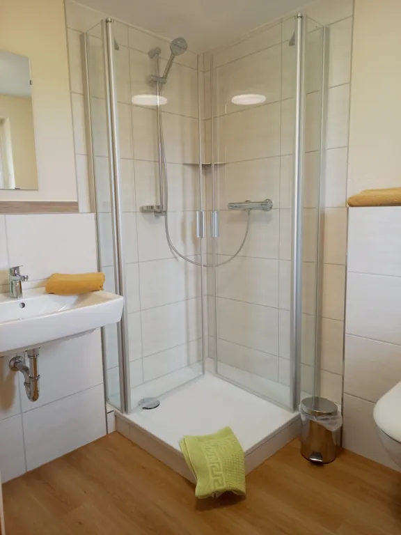 Private bathroom with shower